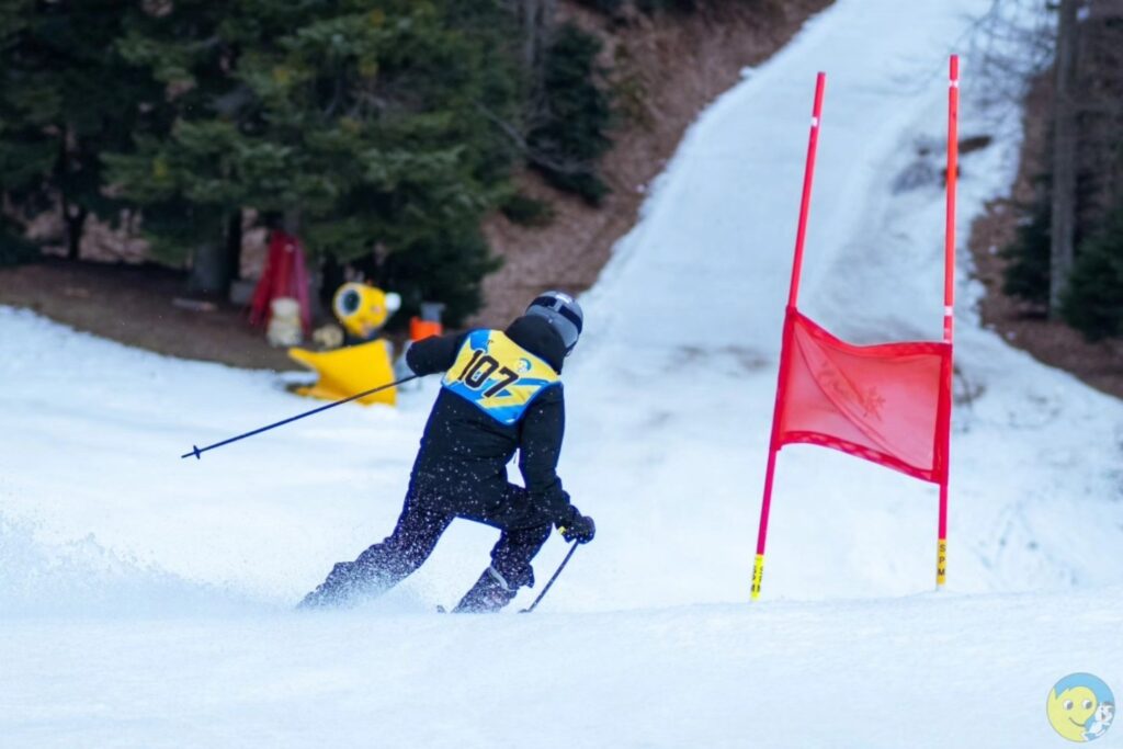 649109533_1519192066873980_5008821503884479629_n – kopija